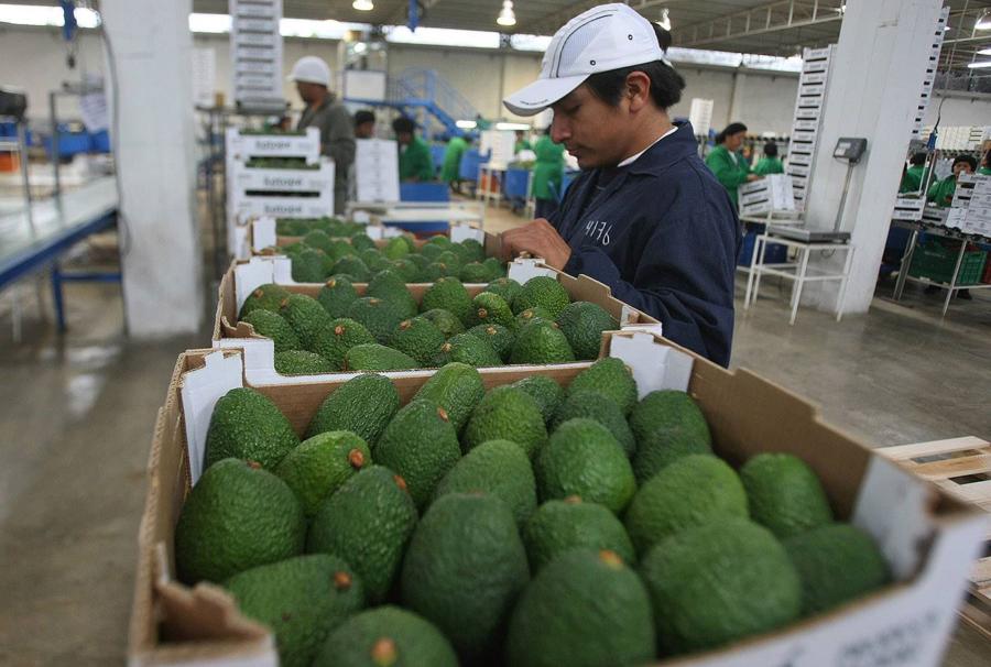 La agroexportación no debe parar