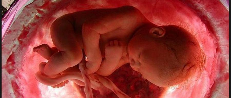 Hablemos del Feticidio