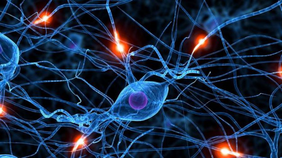Arte y Ciencia