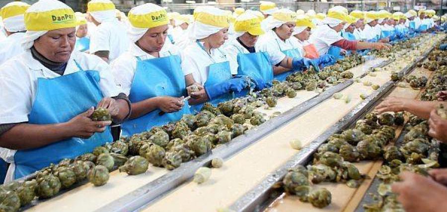 Vanguardia de la diversificación