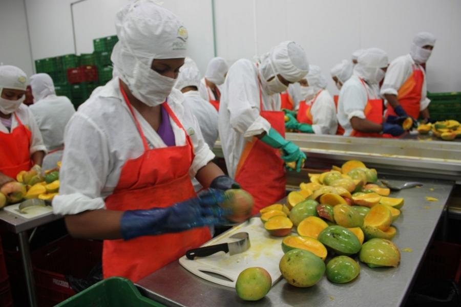 Se desata el boom del mango