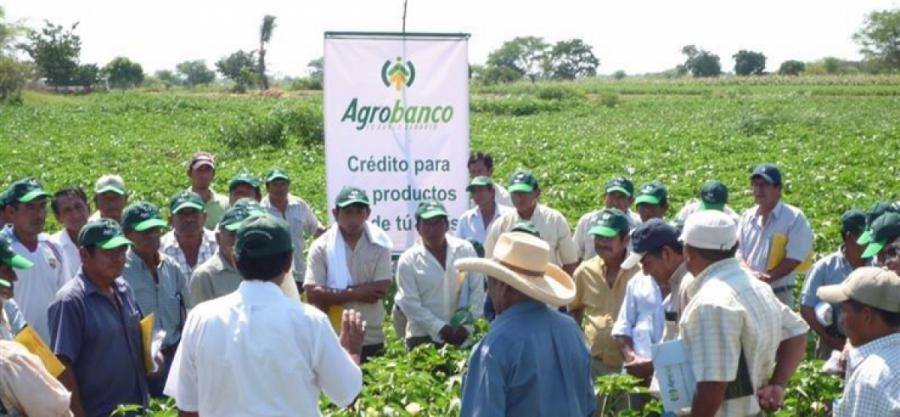 ¡Sí se puede! Por una revolución social inclusiva