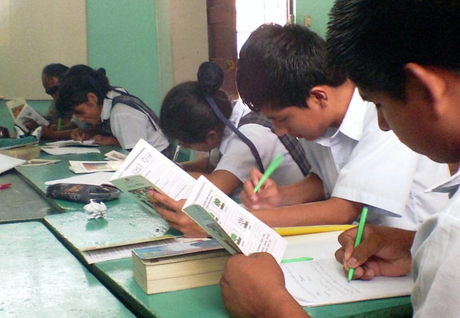 Más sobre el curriculo escolar