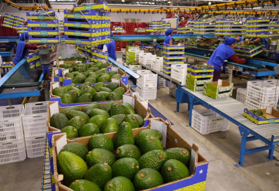 El agro sigue diversificándose