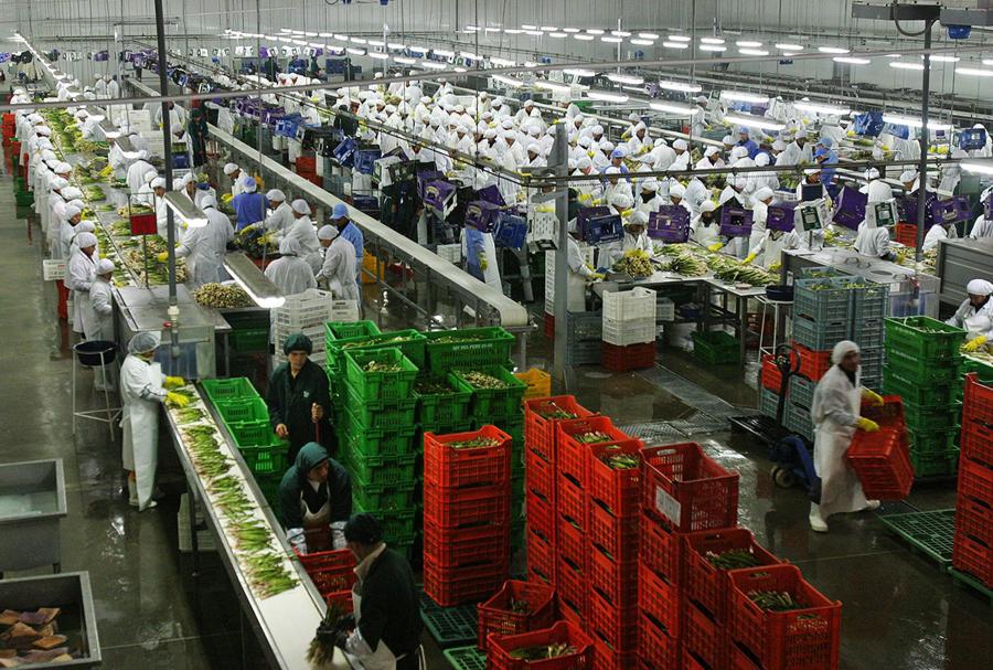 El nuevo motor de la agroexportación