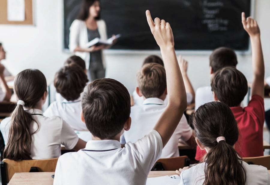 Calidad educativa para la supervivencia de la humanidad