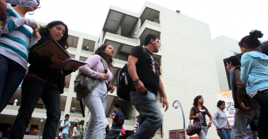 Constitución promueve diversos modelos de universidad