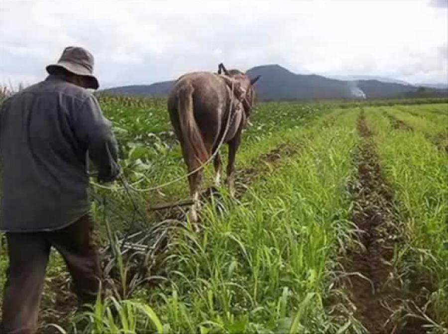 El ministro y la concentración de tierras agrícolas
