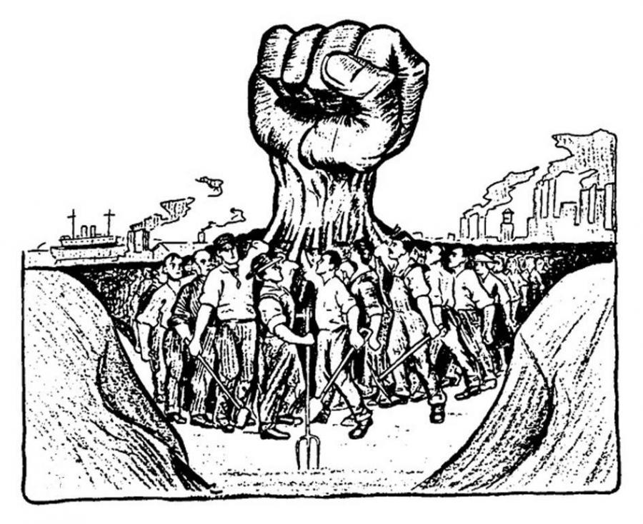 La izquierda no est&aacute; para cazar mariposas