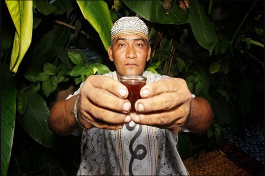 Ayahuasca: ¿de la Amazonía a tu botica más cercana?