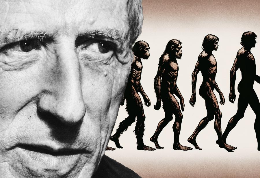 Homo magnificus