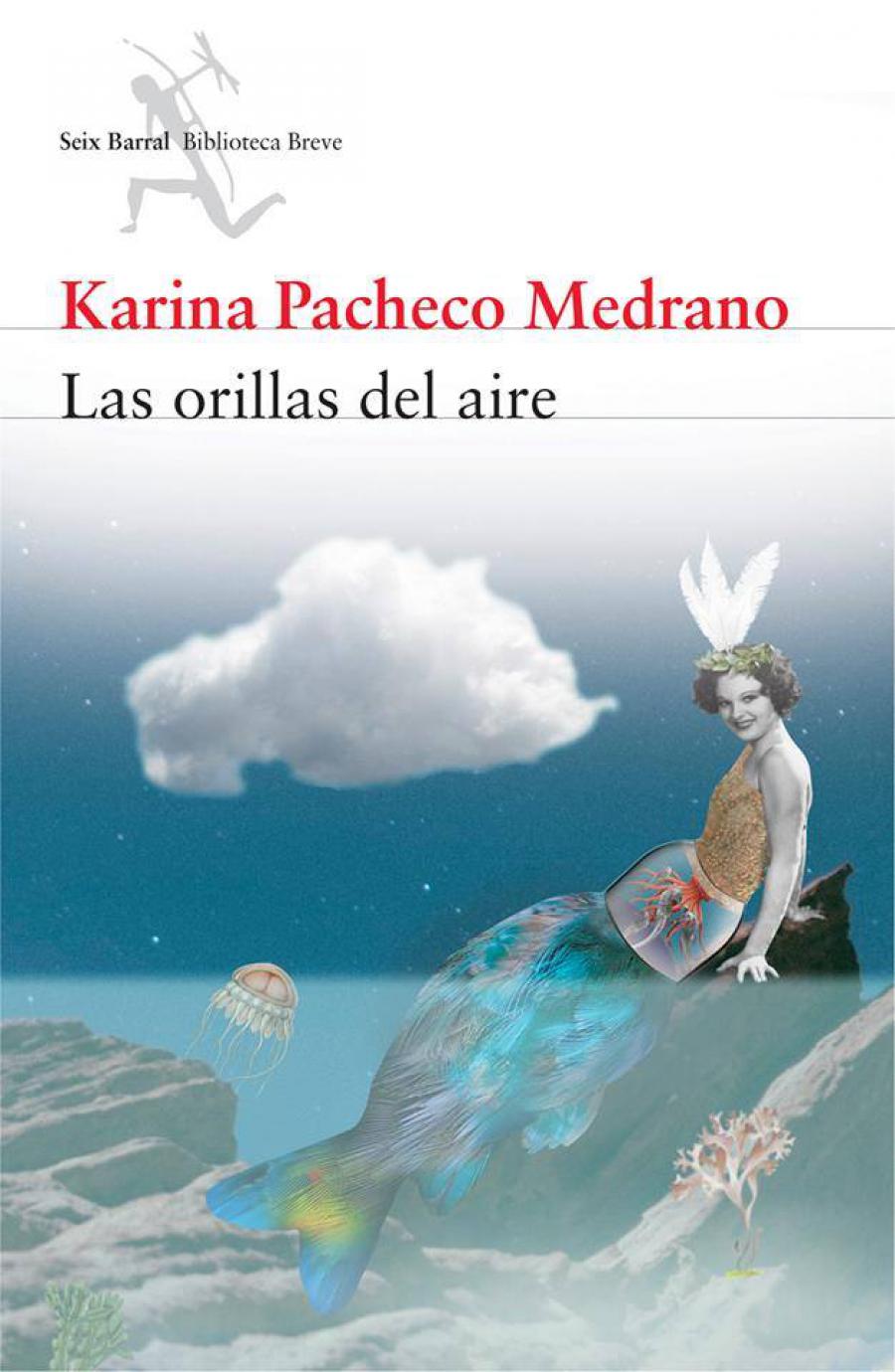 Las orillas del aire