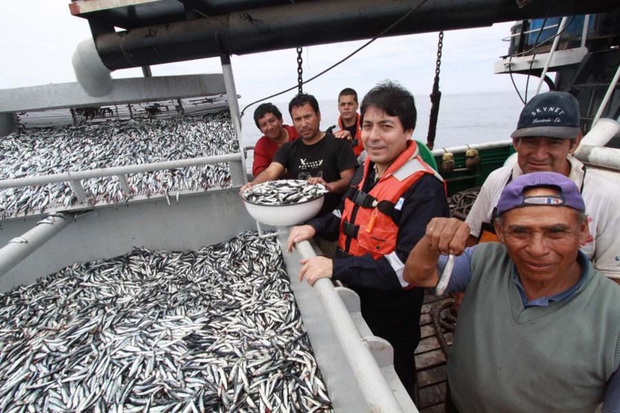 LA PESCA INDUSTRIAL RECUPERA SU BRILLO