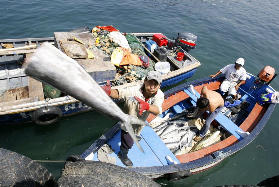 DESTRABANDO LA PESCA ARTESANAL