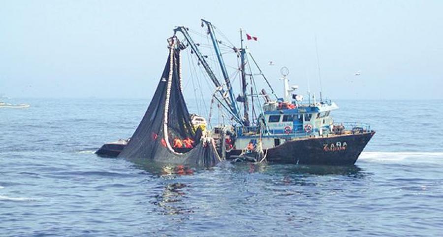 Pesca: giro positivo, pero...