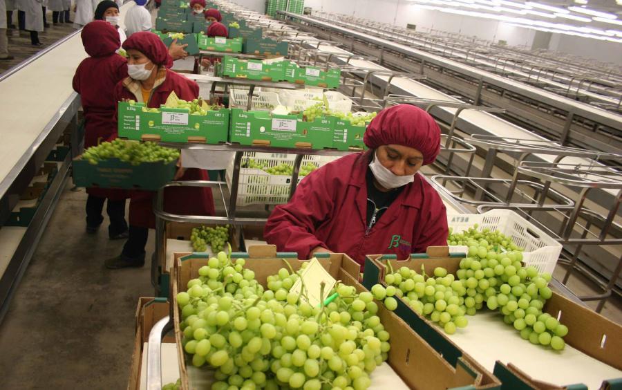¡Prosperidad agrícola en peligro!