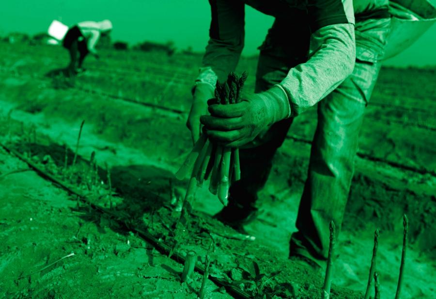 La izquierda contra la ley agraria inclusiva