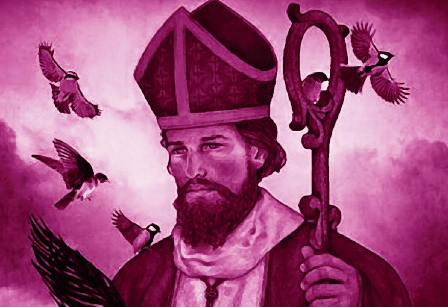 Pedagogía del amor: el legado de San Valentín