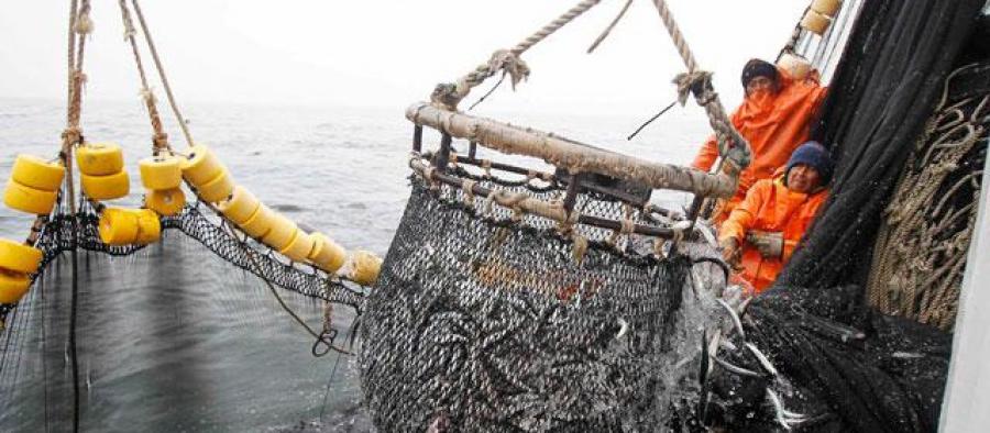 La pesca se levanta