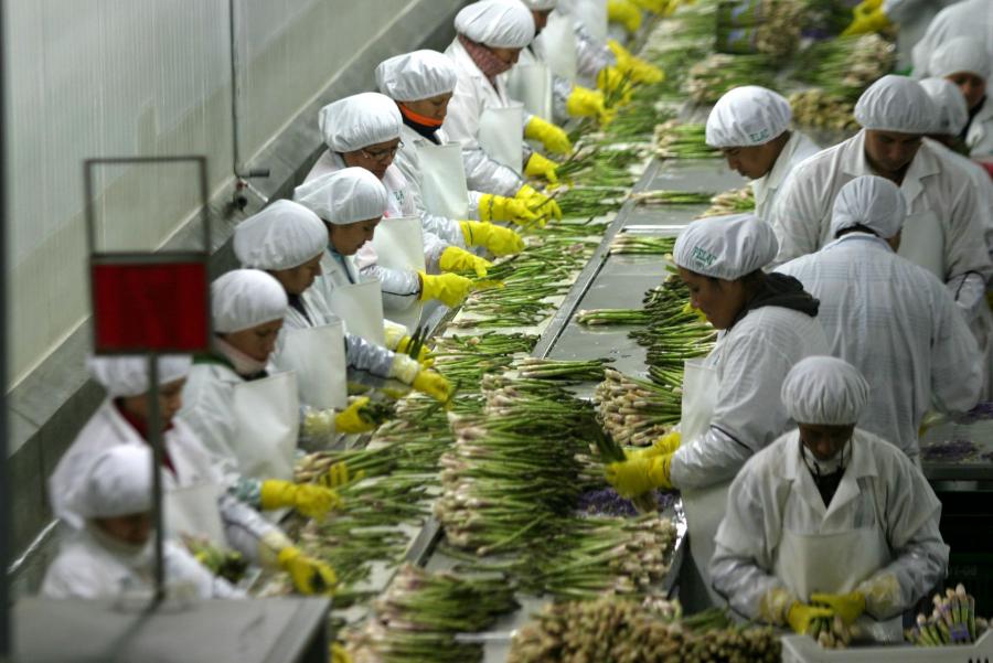2016: la agroexportación avanza