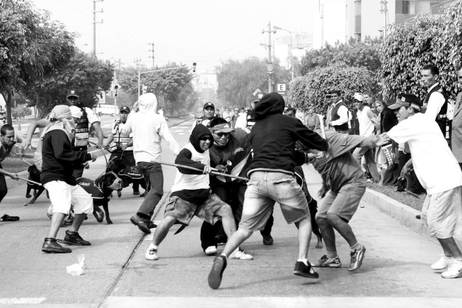 Causa y costos de la inseguridad