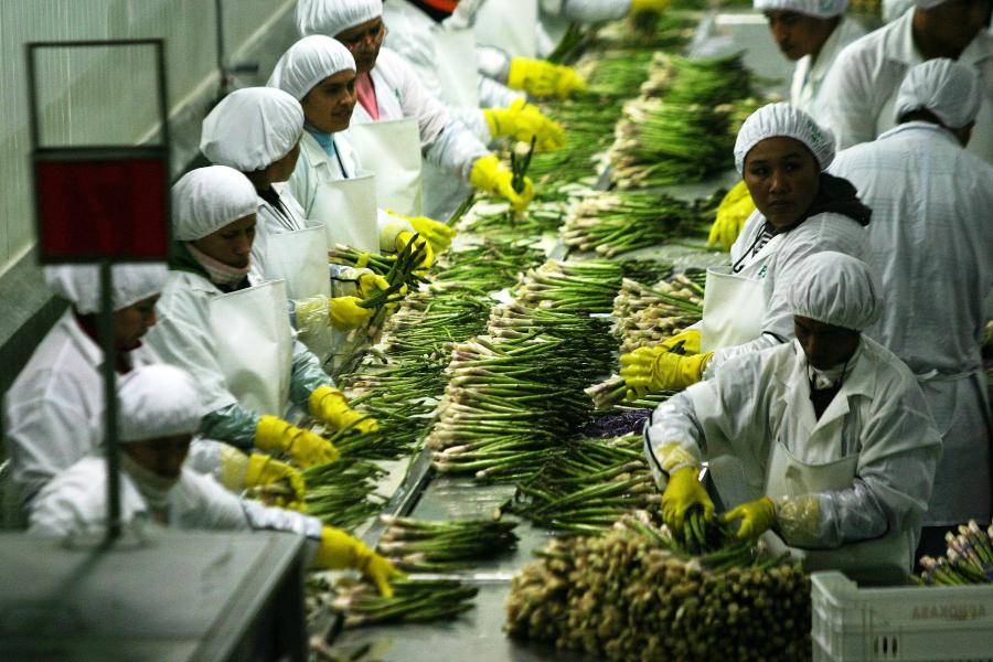 ¡La agroexportación es vital para la economía nacional!