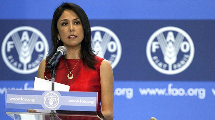 Nadine, la FAO y una interferencia