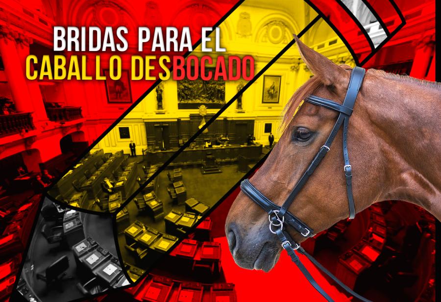 Bridas para el caballo desbocado