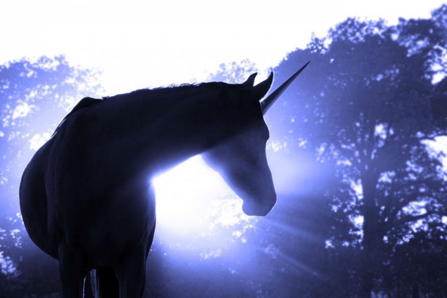 Cuernos de unicornio ¿Cuándo empezó nuestra obsesión?