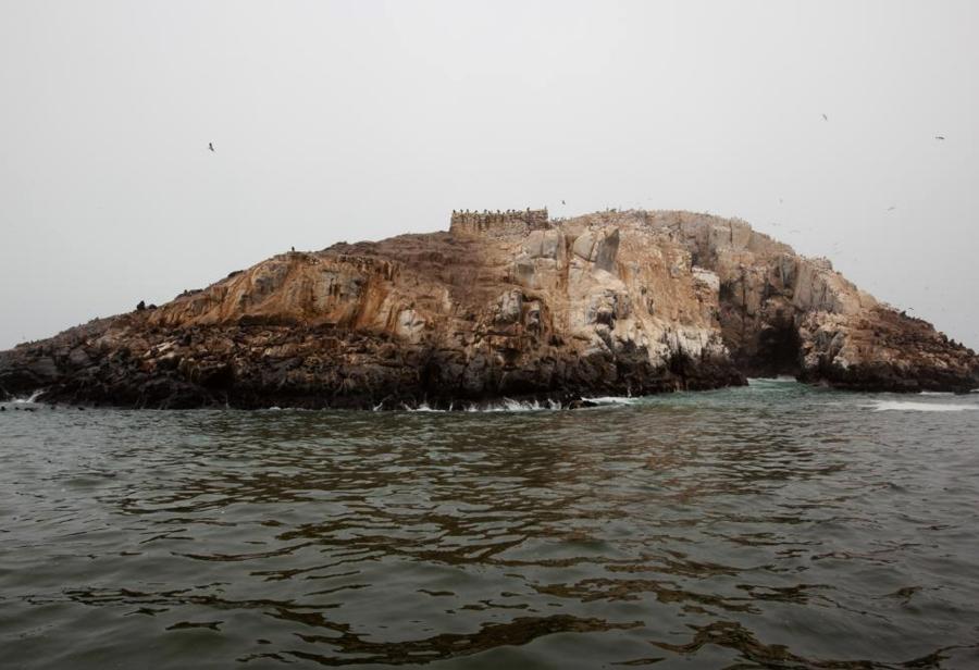 El megaproyecto de la isla San Lorenzo