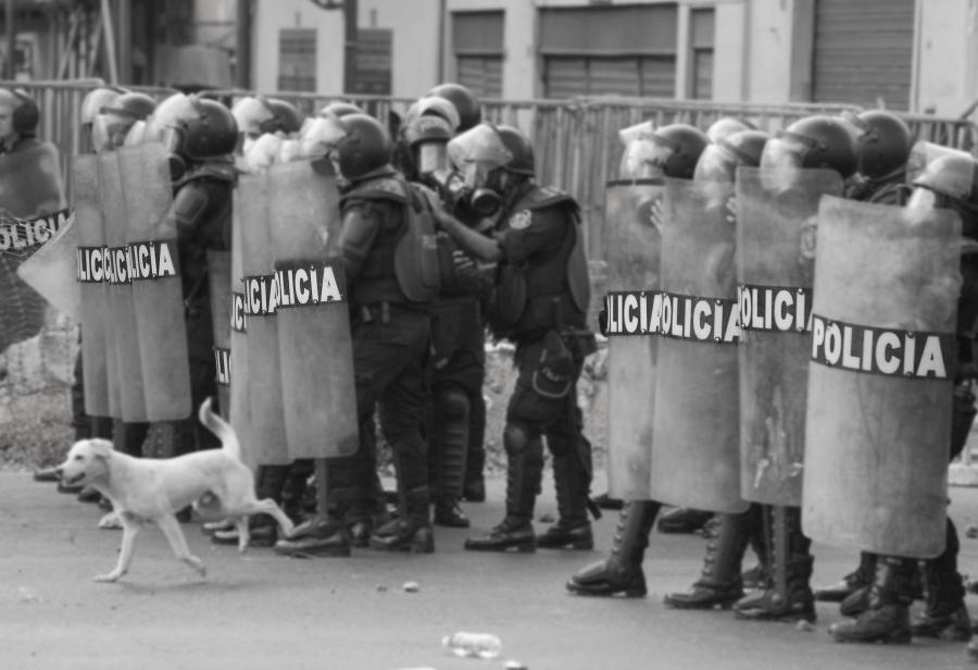 Policía: entre la acción y la inacción