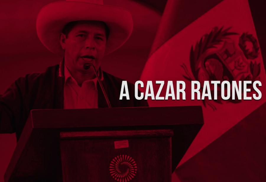 A cazar ratones