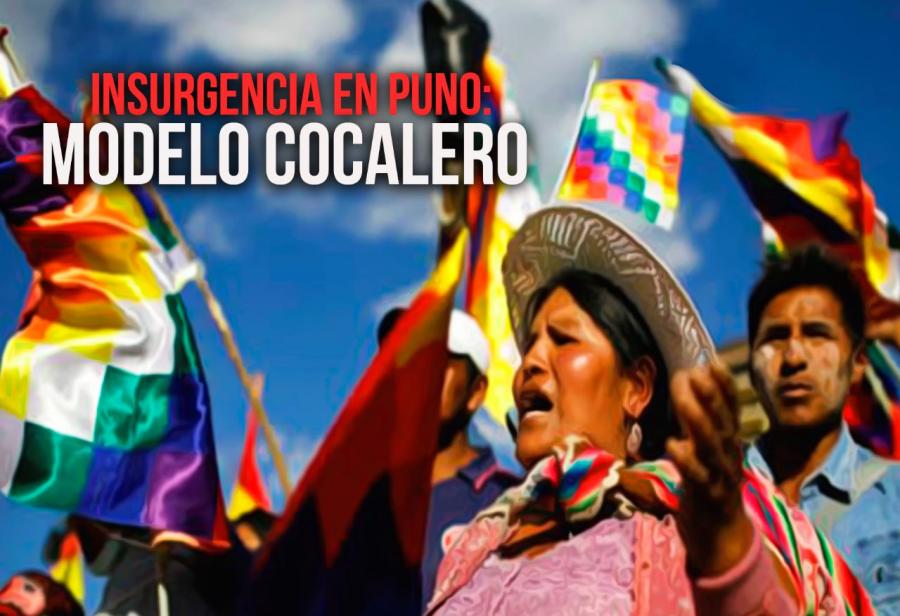 Insurgencia en Puno: modelo cocalero