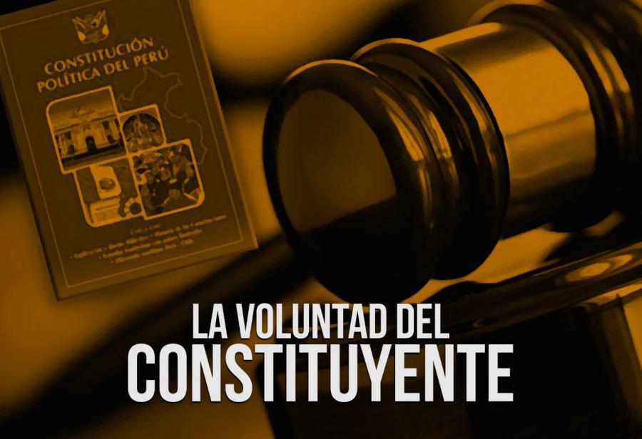 La voluntad del constituyente