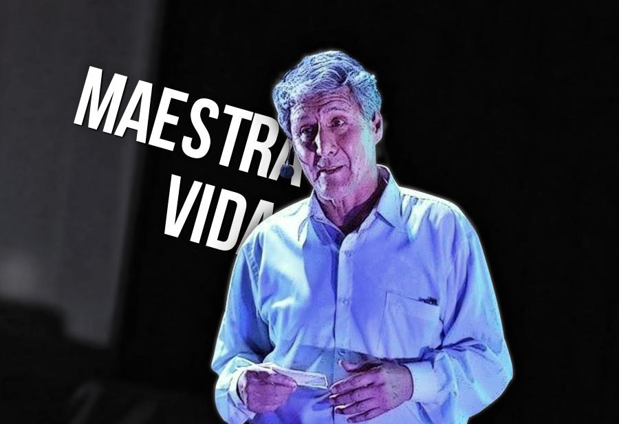 Maestra vida