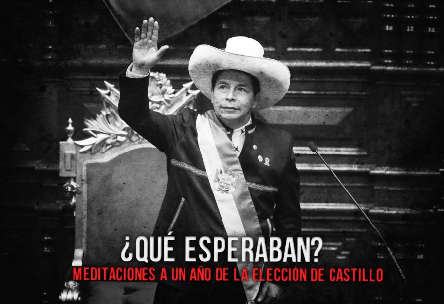 ¿Qué esperaban? Meditaciones a un año de la elección de Castillo