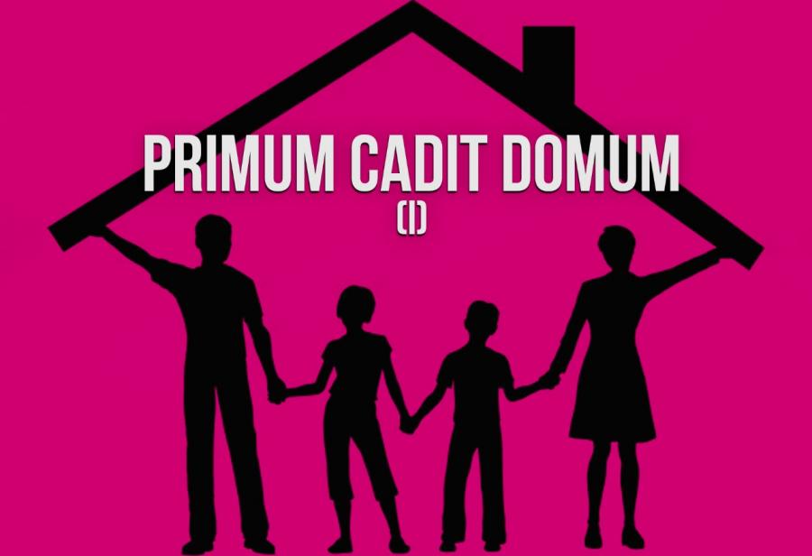 Primum cadit domum