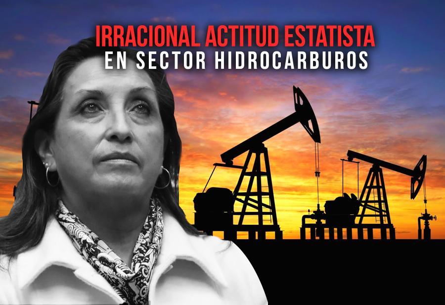 Irracional actitud estatista en sector hidrocarburos
