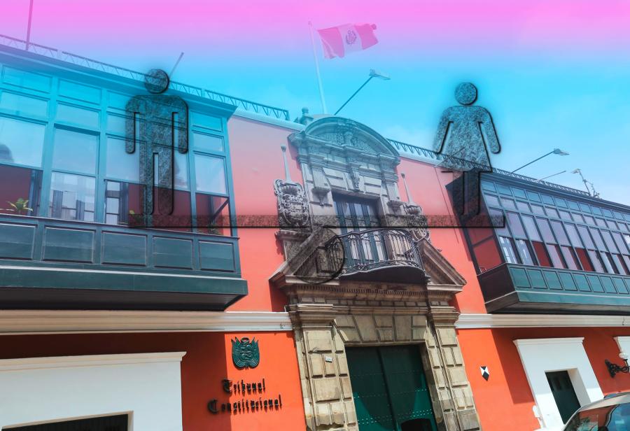 Las mujeres y el Tribunal Constitucional