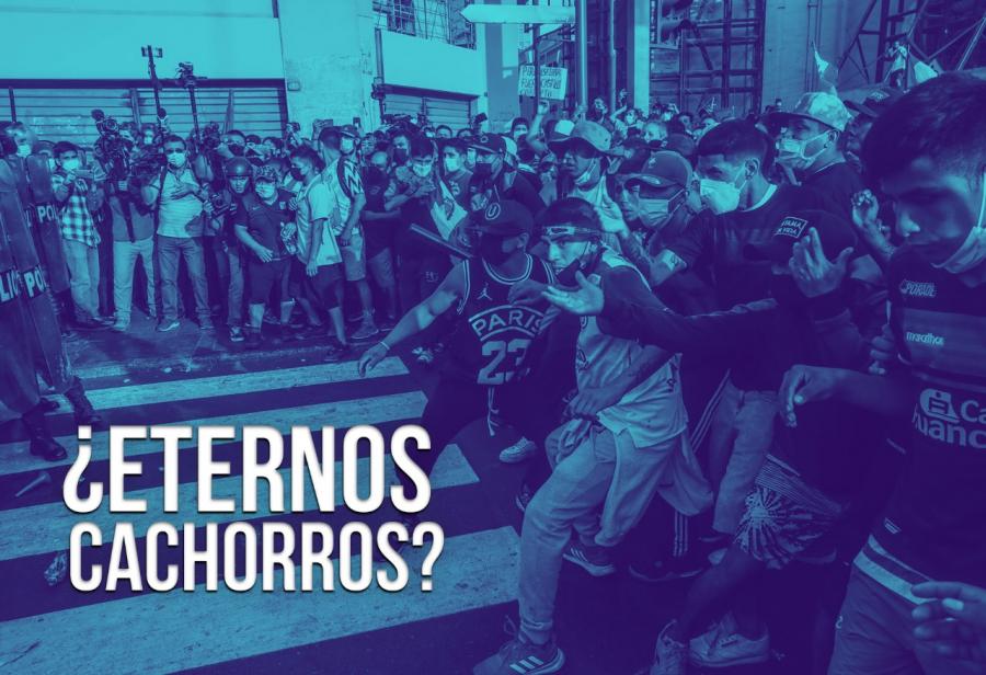¿Eternos cachorros?