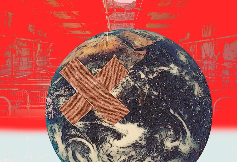 La peste y el pacto social