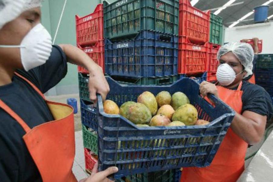 La agricultura aún sigue siendo de subsistencia