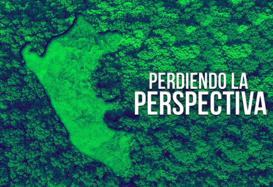 Perdiendo la perspectiva