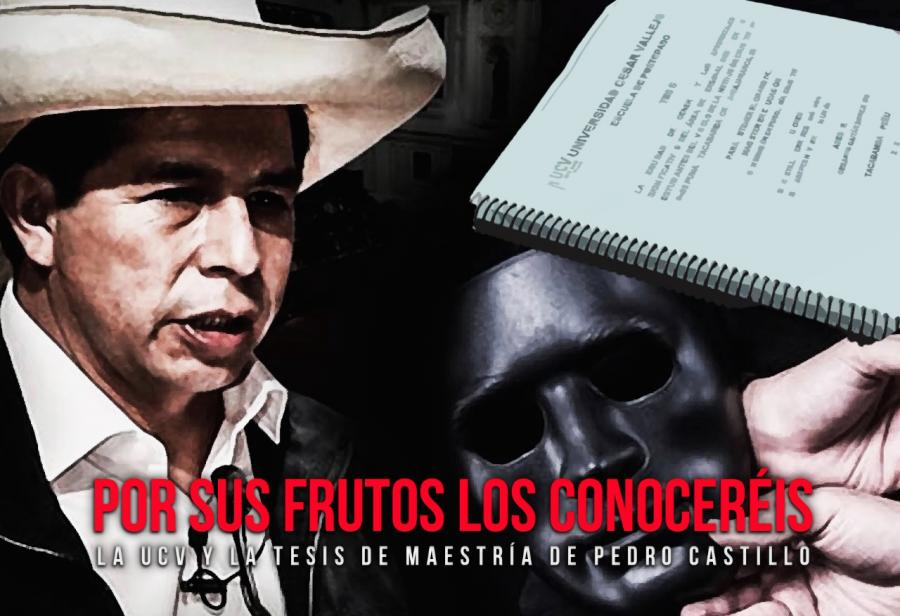 Por sus frutos los conoceréis