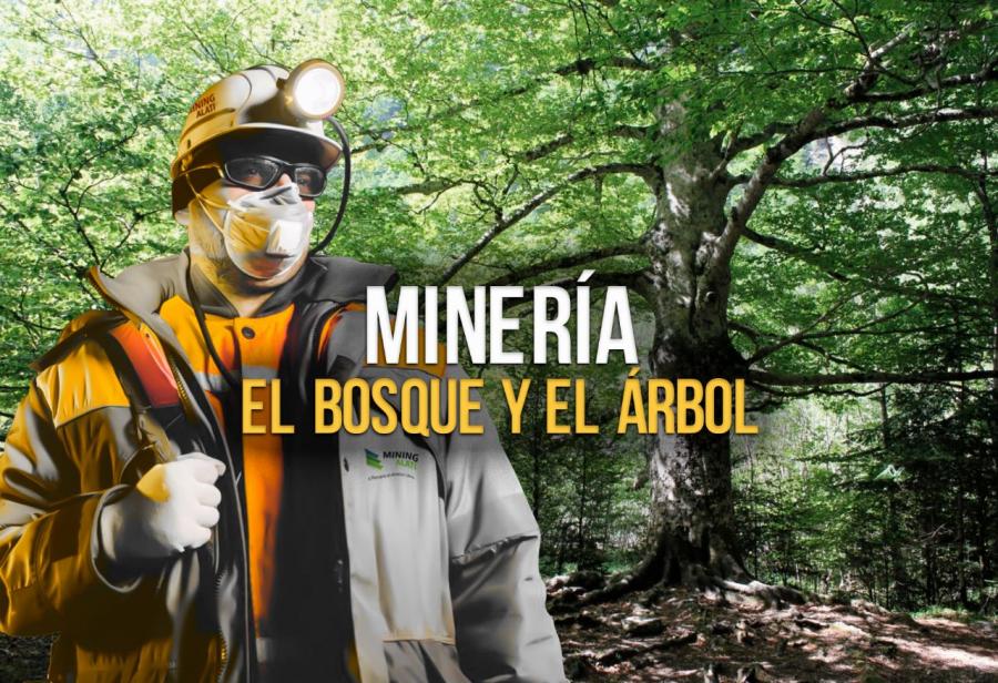 Minería: el bosque y el árbol