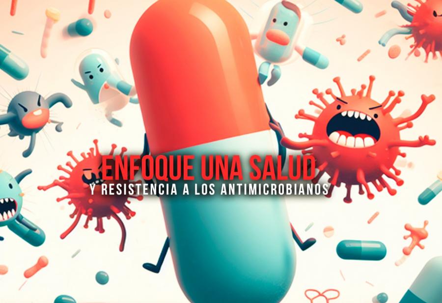 Enfoque Una Salud y resistencia a los antimicrobianos