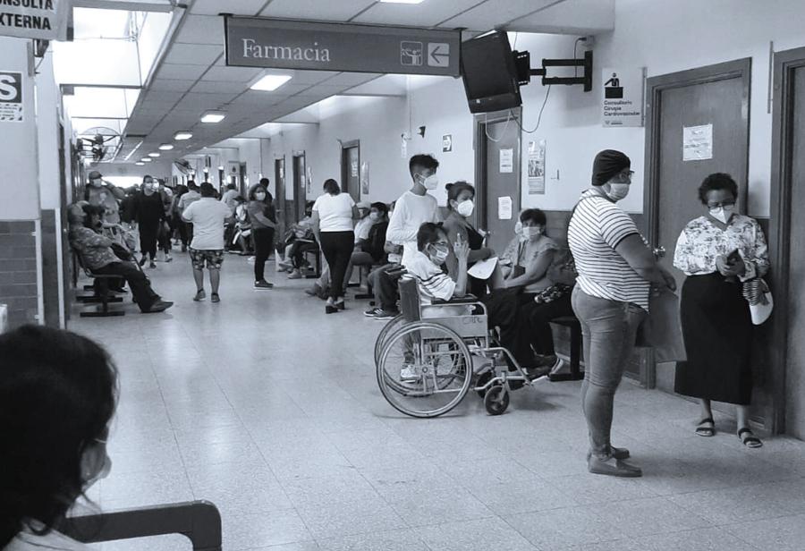 Voluntariado, núcleos ejecutores y emergencia sanitaria