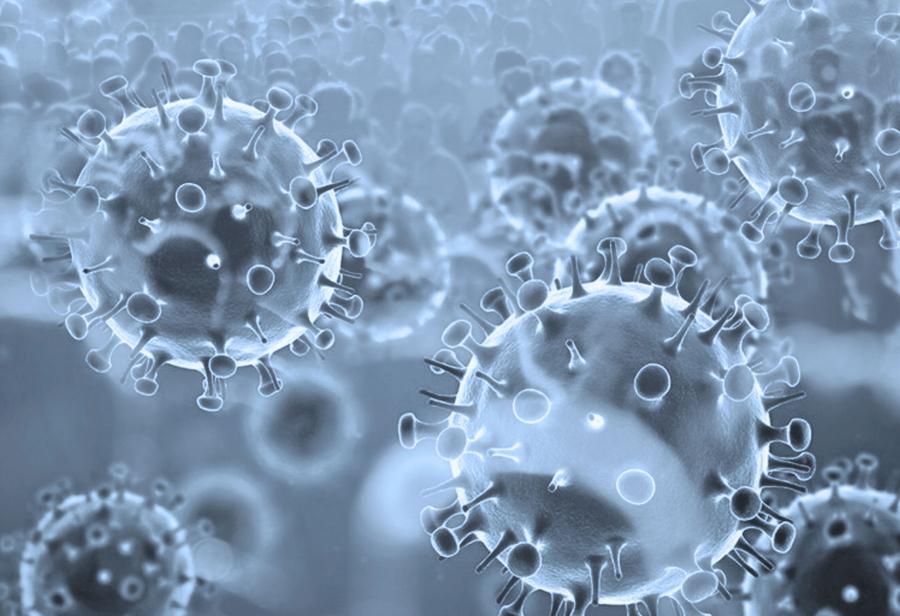Pandemia, OPS y recuperación de pérdidas
