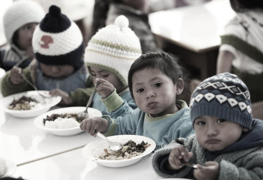 Los micronutrientes y el Minsa