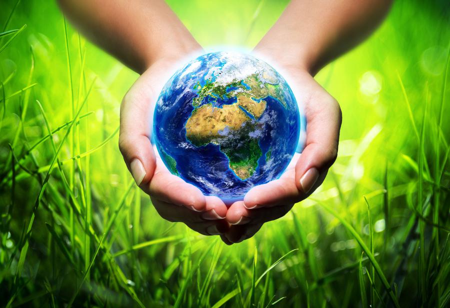 De la política cotidiana a las políticas del ambiente